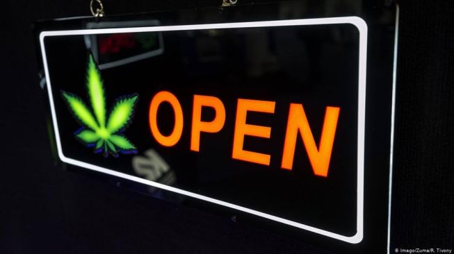 Ketika Ganja Legal Menjadi Makin Langka di Masa Pandemi Corona