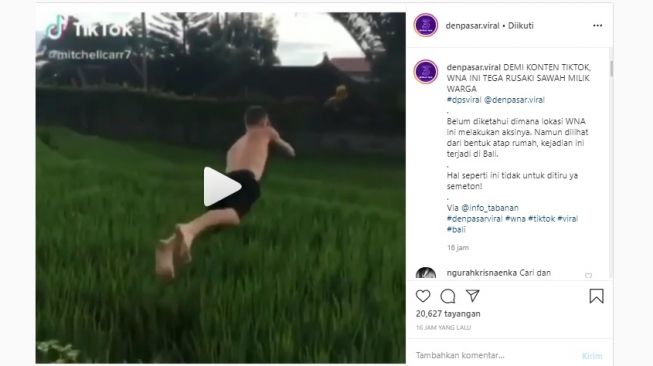 Viral Bule Rusak Sawah Petani Demi Konten TikTok (Instagram)