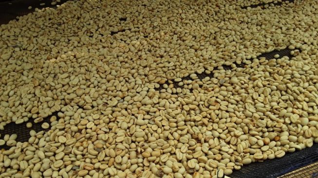 Biji kopi hasil para petani Sarongge (ist)
