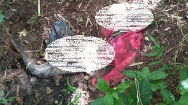 Geger Penemuan Kerangka Mayat di Hutan Puhpelem Wonogiri, Ini Kata Camat
