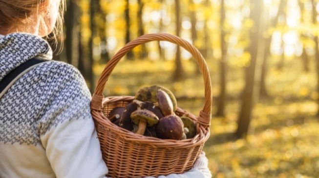 Hindari Belanja di Supermarket saat Pandemi, Ibu Ini Cari Makanan di Hutan