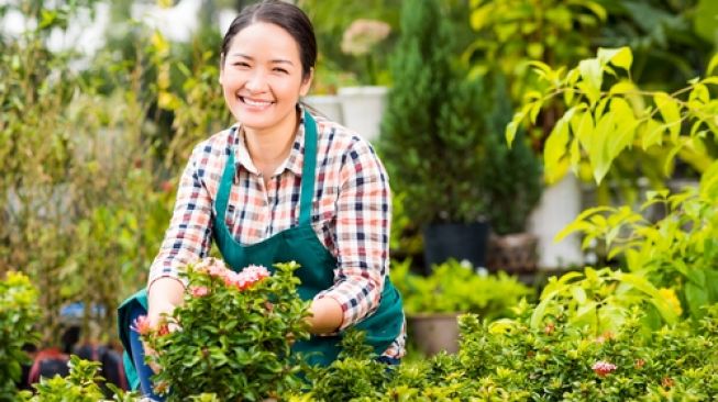 Ilustrasi berkebun. (Shutterstock)