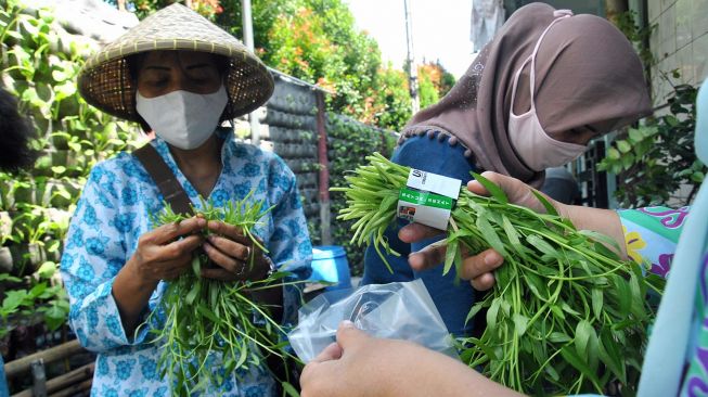 Warga membungkus sayuran kangkung usai panen di Kampung Siaga Pangan COVID-19, Warung Bandrek RW 05, Kelurahan Bondongan, Kota Bogor, Jawa Barat, Rabu (20/5).  [ANTARA FOTO/Arif Firmansyah]
