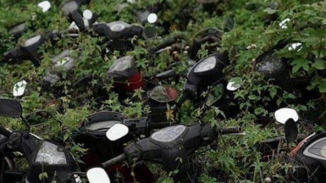 Terbuang Dimakan Ilalang, Potret Kuburan Motor Ini Bikin Bikers Gigit Jari