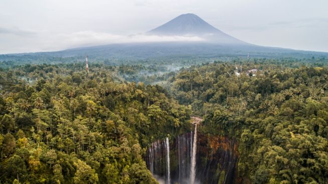 Ini Produk Pariwisata yang Akan Diminati Pasca Pandemi Covid-19