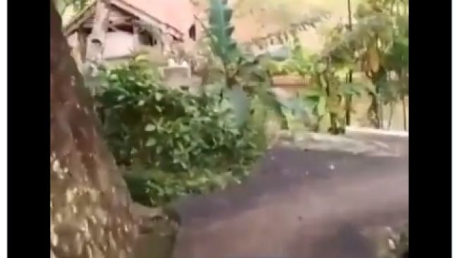 Viral Video Dashcam Motor Lintasi Jalan Sempit, Bikin Warganet Deg-degan