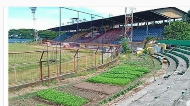 Dua Bulan Tak Dipakai, Stadion Sepak Bola Ini Berubah Jadi Kebun Sayur