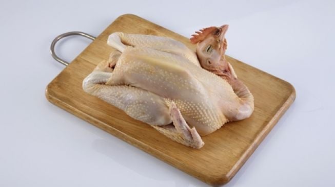 Ayam kampung. (Shutterstock)