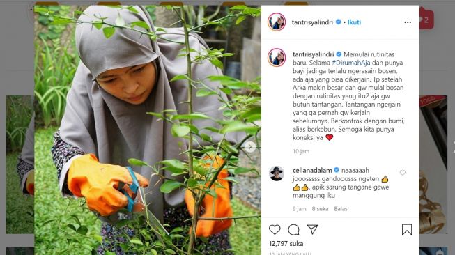 Cari Tantangan Baru Saat PSBB, Tantri Kotak Coba Berkebun di Rumah