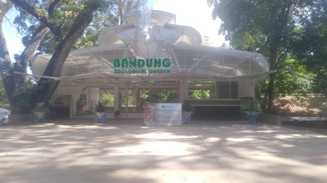 Bak Kuburan, Bandung Zoo Super Sepi saat Lebaran