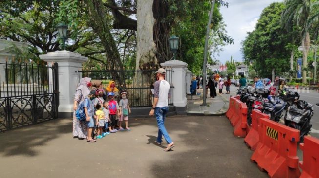 Tok Tok Tok Pak Jokowi! Banyak Warga Kasih Makan Rusa di Depan Istana Bogor