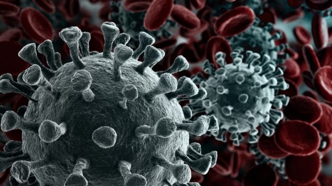 Ilustrasi virus corona varian Omicron lagi hangat diperbincangkan. [Shutterstock]