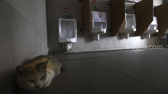 Toilet yang menerapkan aturan jarak fisik atau physical distancing di Rest Area KM 86 Tol Cikampek-Jakarta, Subang, Jawa Barat, Kamis (28/5). [Suara.com/Angga Budhiyanto]