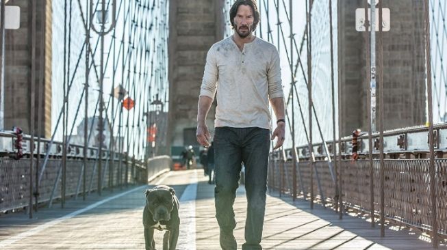 Film John Wick 2 [imdb]