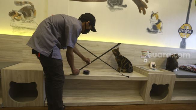 Pekerja memasang tanda jarak fisik di Kopi Cat Cafe by Groovy Kemang, Jakarta, Senin (1/6). [Suara.com/Angga Budhiyanto]