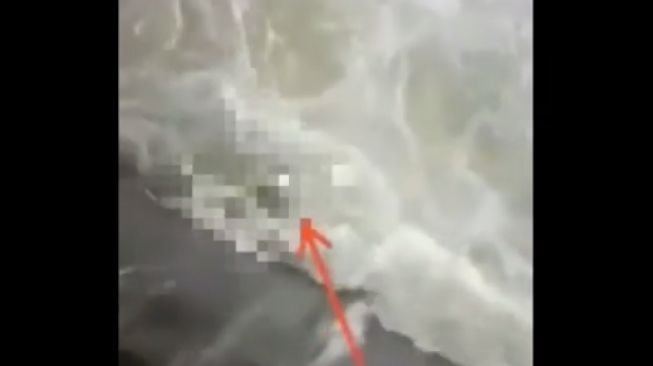 Dikira Boneka, Pemancing Kaget Temukan Bayi Mengapung di Sungai Tambakbayan