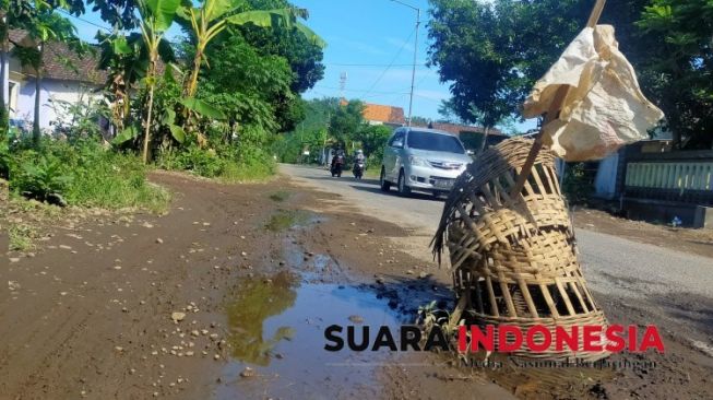 Jalan Berlubang di Ledokombo Jember Diberi Kurungan Ayam