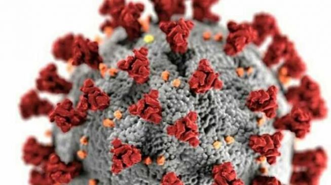 Pria di Ambon Tidak Percaya Virus Corona dan Ingin Temani 4 Pasien Covid-19