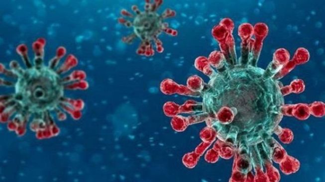 Sepekan Usai Lebaran, Tidak Ada Temuan Kasus Positif COVID Baru di Pessel