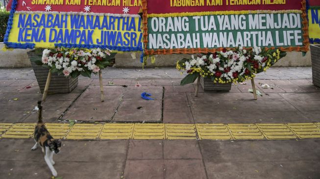 Seekor kucing melintasi karangan bunga di Pengadilan Negeri Jakarta Pusat, Jakarta, Rabu (3/6/2020). [ANTARA FOTO/Galih Pradipta]
