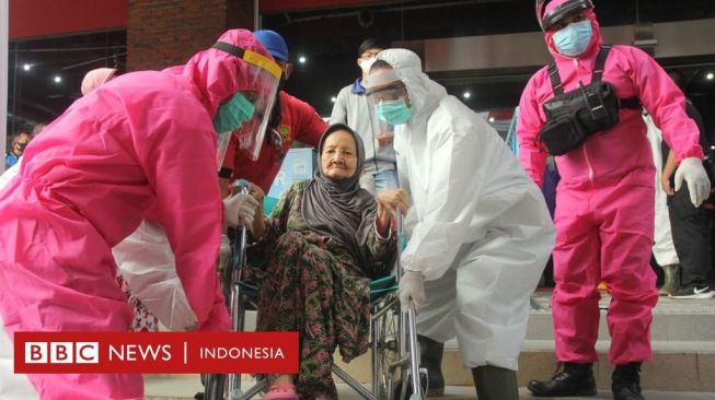 Unair dan BIN: HSCT Bisa Lumpuhkan Virus Corona dalam Jumlah Besar