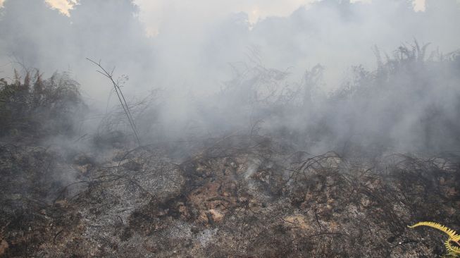 Lima Hektare Lahan Hangus Gara-gara Ulah SB, Begini Nasibnya Sekarang