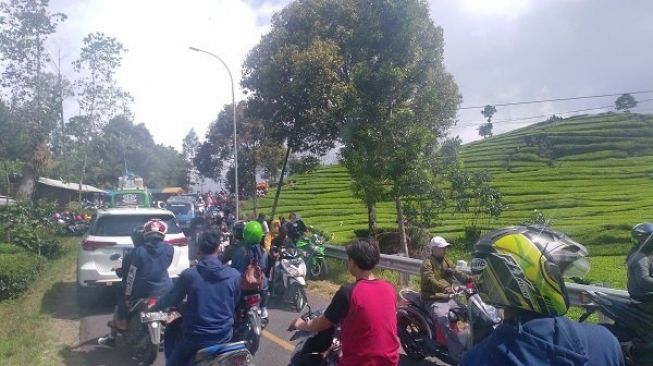 Wisata Kawah Putih Masih Ditutup, Ribuan Warga Malah Padati Kebun Teh