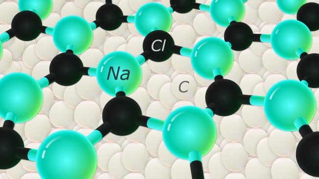 Garam dalam bentuk hexagonal. [Skoltech.ru]