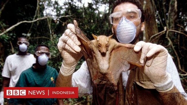 Covid-19 Bukan Pandemi Terakhir, Ilmuwan Peringatkan Ada Penyakit Baru