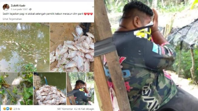 Tangis Pecah! Peternak Ikan Temukan Peliharaannya Mati Semua Tercemar Racun