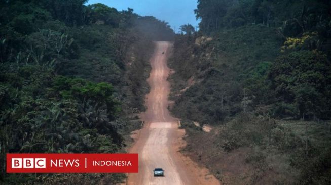 Covid-19: Apakah Pandemi Turut Berkontribusi dalam Perusakan Hutan Tropis?