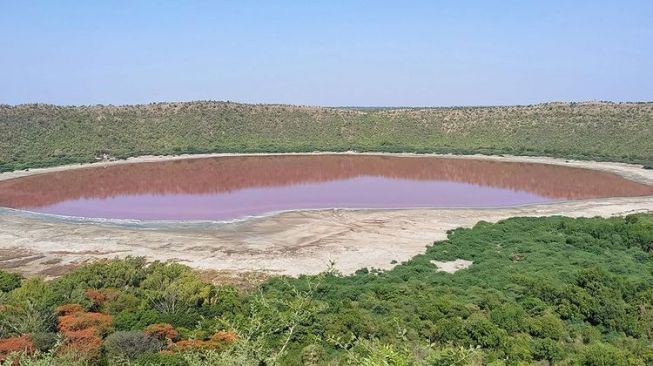 Danau di India Berubah Jadi Pink dalam Semalam, Kok Bisa?