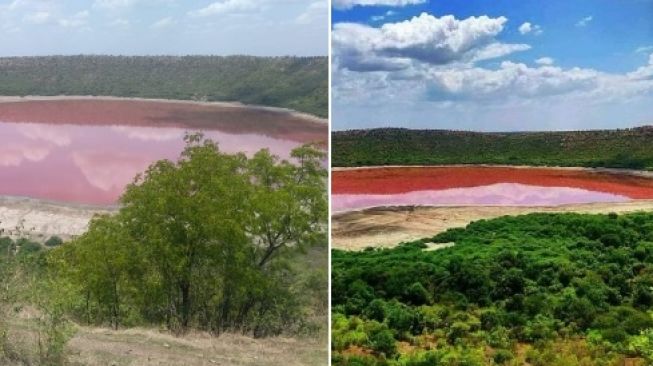 Air Danau di India Mendadak Berubah Warna Jadi Pink, Ada Apa?