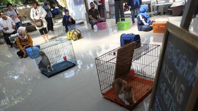 Relawan pecinta satwa yang tergabung dalam Cat Lover Peduli COVID-19 mengikuti pengobatan gratis untuk kucing saat acara Kenduri Satwa di Galeri Joli Jolan Solo, Jawa Tengah, Sabtu (13/6). [ANTARA FOTO/Maulana Surya]