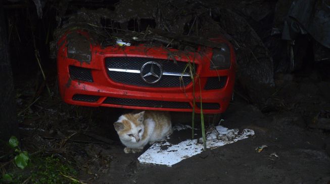 Seekor kucing berada di dekat mainan mobil-mobilan yang tertimbun lumpur akibat terjangan banjir bandang di Kecamatan Bissappu, Kabupaten Bantaeng, Sulawesi Selatan, Sabtu (13/6). [ANTARA FOTO/Abriawan Abhe] 