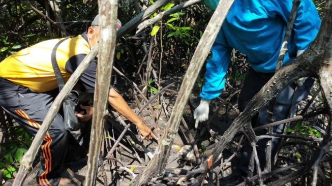 Temuan Tengkorak Manusia di Hutan Bakau Gegerkan Warga Bengkalis