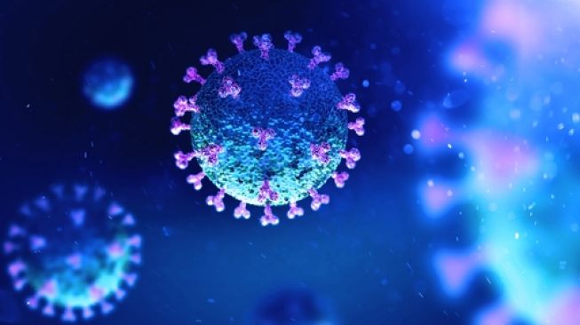 Illustration of Corona Covid-19 virus.  (Shutterstock)
