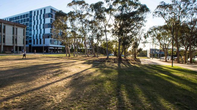 Jemput Mahasiswa Asingnya, Universitas di Australia Berencena Sewa Pesawat