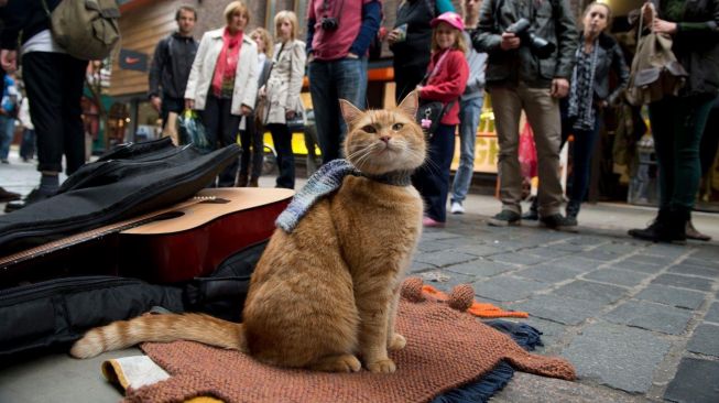 Kucing Penyelamat Meninggal, RIP Bob Jadi Trending di Twitter