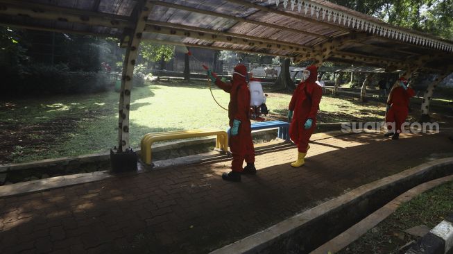 Petugas Pemadam Kebakaran (Damkar) menyemprotkan cairan disinfektan di lingkungan Taman Margasatwa Ragunan (TMR), Jakarta, Rabu (17/6). [Suara.com/Angga Budhiyanto]
