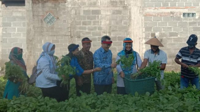 Wakil Bupati Bantul Abdul Halim Muslih mengikuti panen raya di Neco, Sabdodadi, Bantul, Rabu (17/6/2020). - (SuaraJogja.id/Mutiara Rizka)