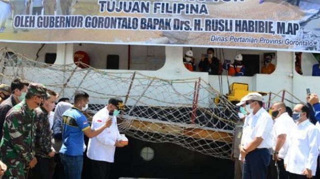 Gubernur Gorontalo Lepas 12.400 Ton Jagung oleh PT. Seger Agro Nusantara 