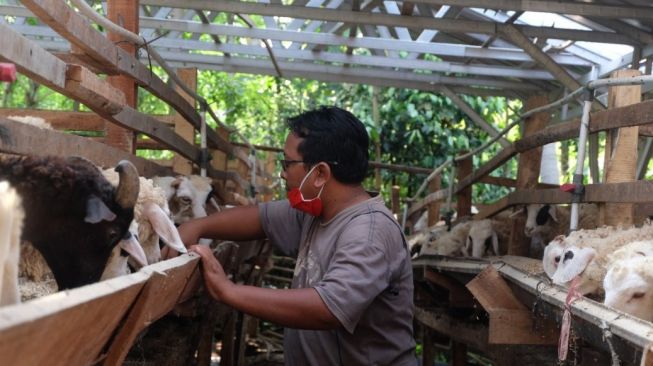 Jelang Idul Adha, Dompet Dhuafa Kunjungi Mitra Ternak di Cilegon