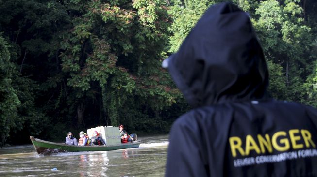 Petugas membawa Harimau Sumatra liar dengan menggunakan perahu untuk proses pelepasliaran di kawasan Taman Nasional Gunung Leuser (TNGL), Aceh, Sabtu (20/6). [ANTARA FOTO/Syifa Yulinnas]