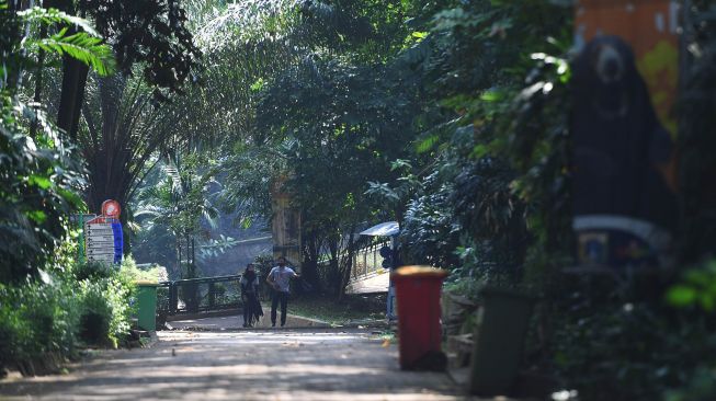 Sudah Buka Kembali, Intip Serunya Suasana di Kebun Binatang Ragunan