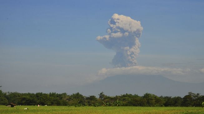 Gunung Merapi Luncurkan 10 Kali Lava Pijar Sejauh 2.000 Meter