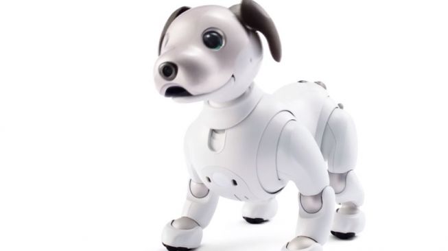 Robot anjing, Aibo. [Aibo]