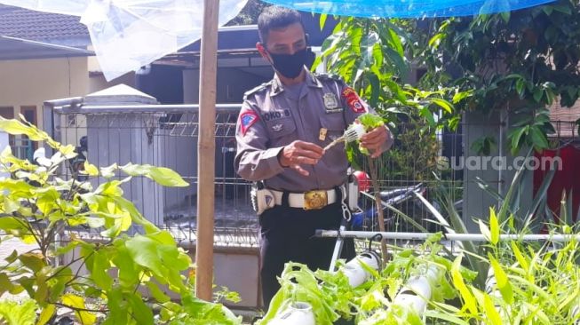 Belajar Otodidak, Polisi Kulon Progo Rangkul Warga Cocok Tanam Hidroponik