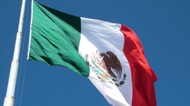 Bendera Meksiko. (Pixabay/Mediosaudiovisuales)