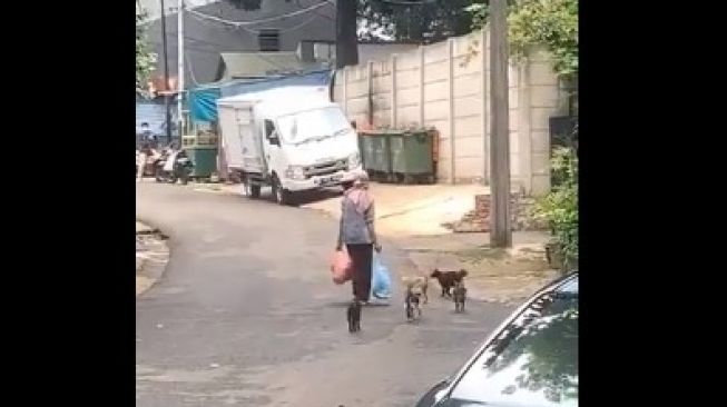 Viral Wanita Setia Beri Makan Kucing Liar di Jalan, Publik: Penghuni Surga